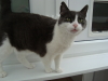 [Photograph of lucky]