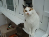 [Photograph of missy]