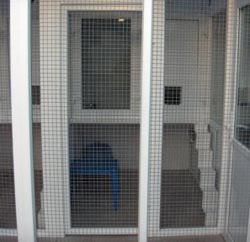 [Photograph of a single penthouse-style cattery unit at Q's Cat Motel]