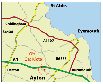 [Map showing location of Q's Cat Motel]
